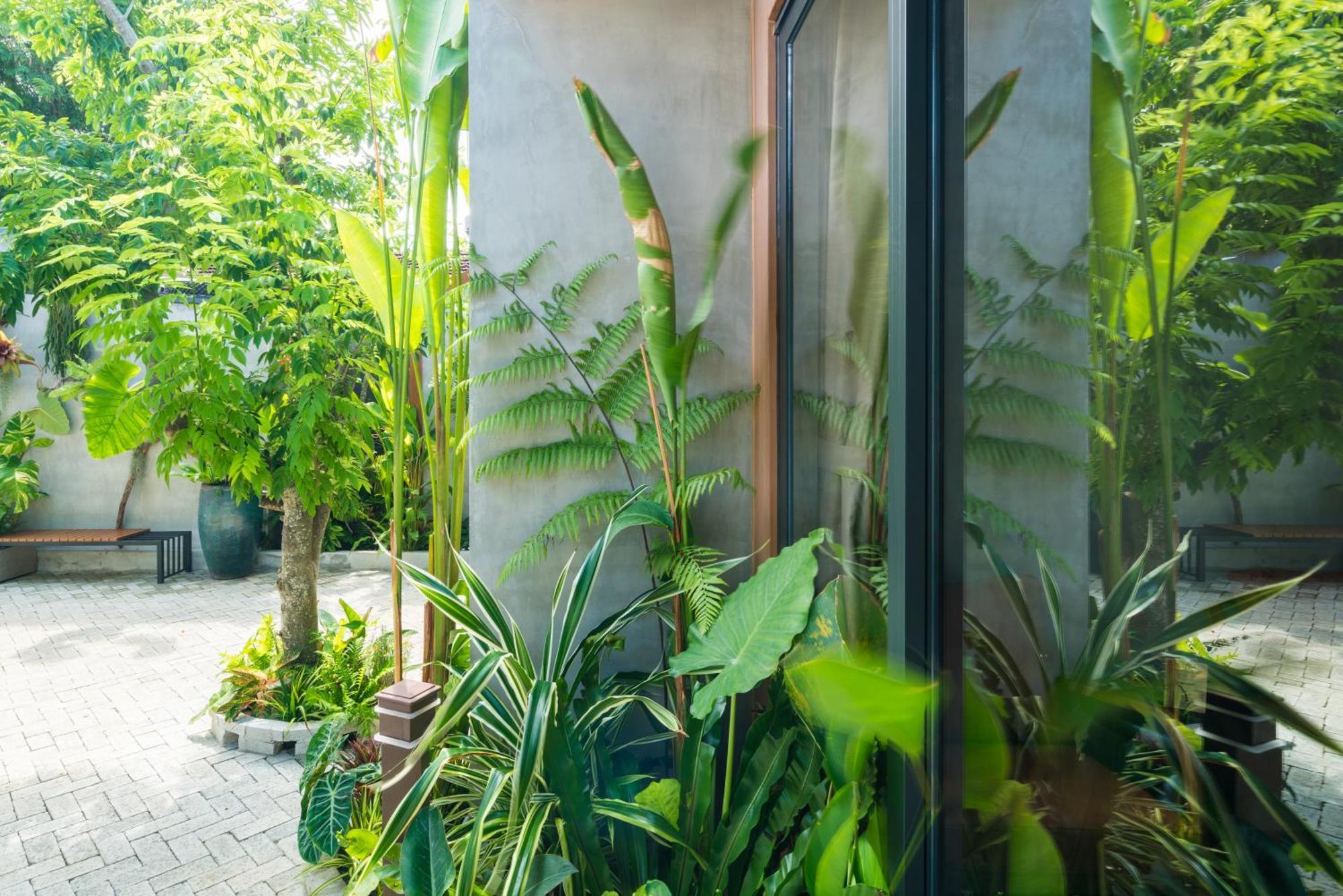 Eco House Villa Phan Thiết Eksteriør billede