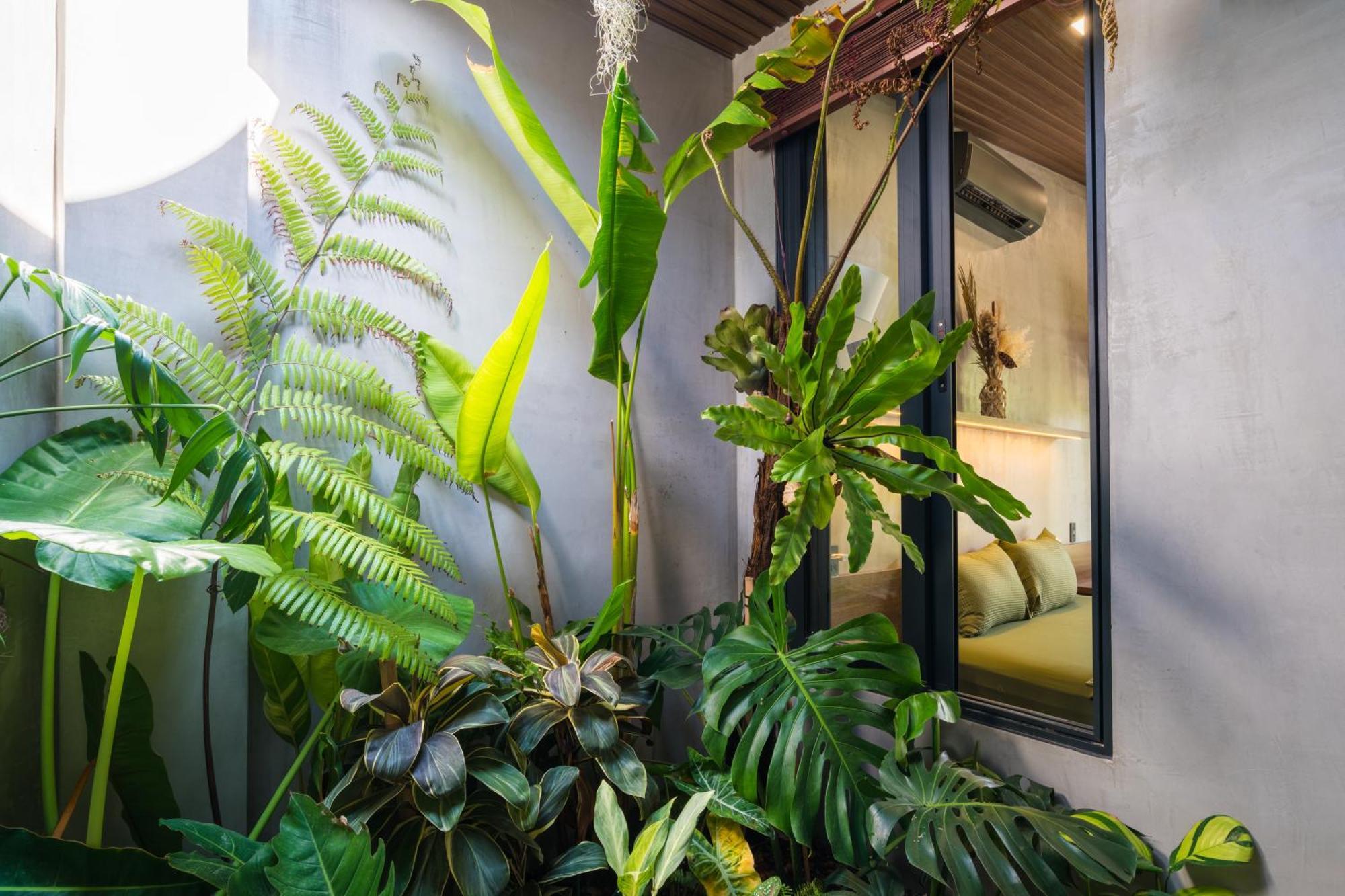 Eco House Villa Phan Thiết Eksteriør billede