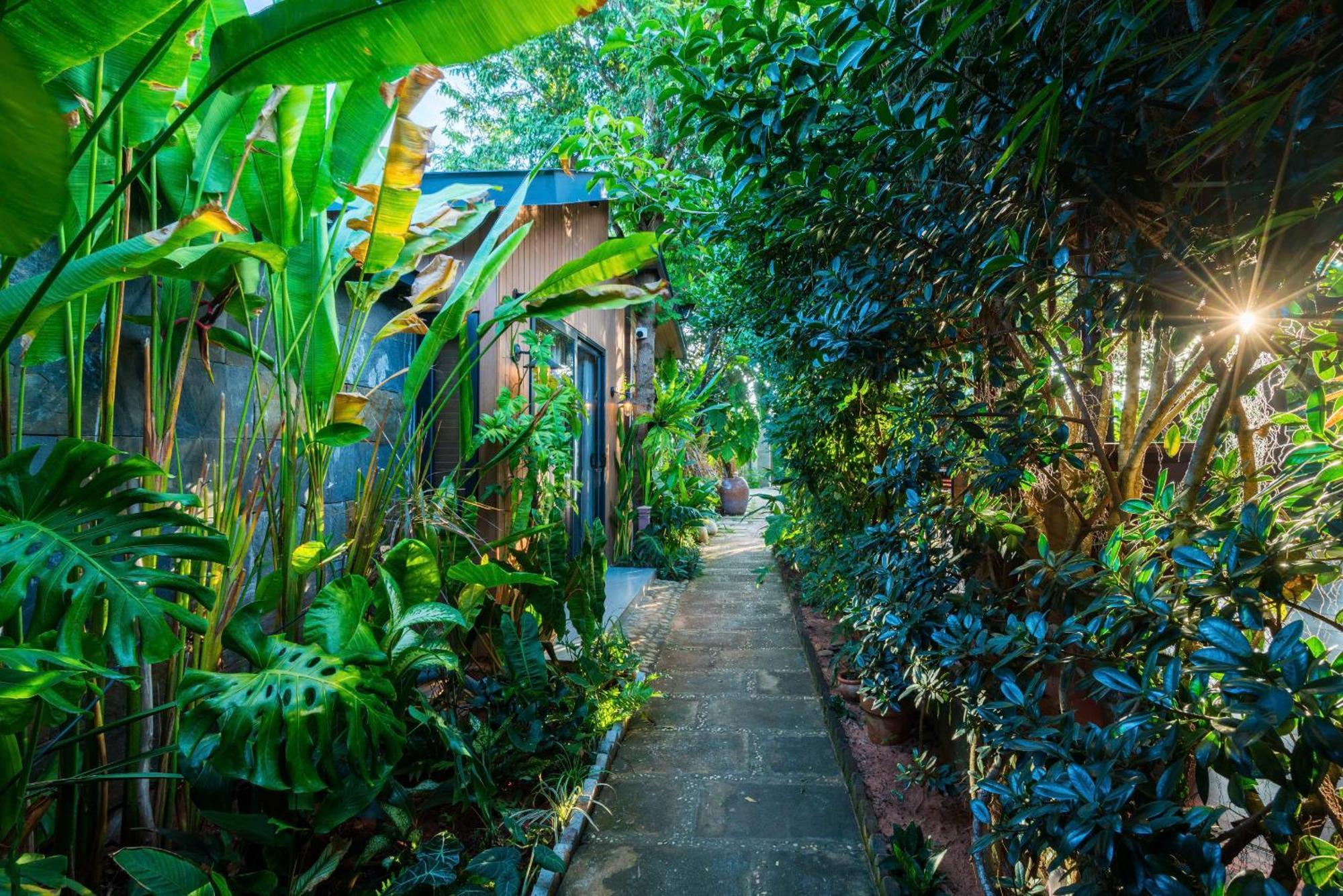 Eco House Villa Phan Thiết Eksteriør billede