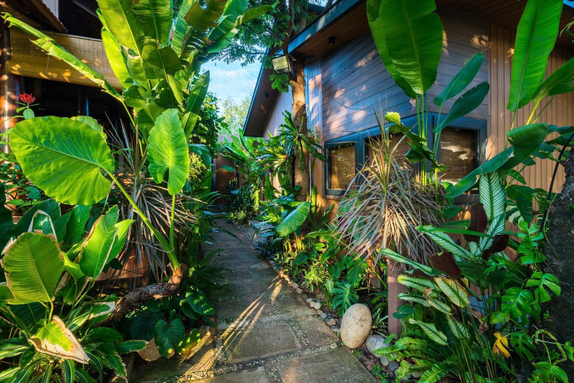 Eco House Villa Phan Thiết Eksteriør billede